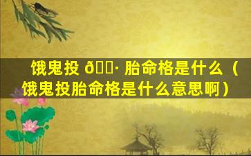 饿鬼投 🌷 胎命格是什么（饿鬼投胎命格是什么意思啊）